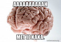 Scumbag Brain