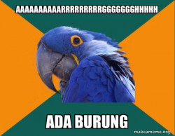 Paranoid Parrot