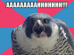 Millennial Falcon