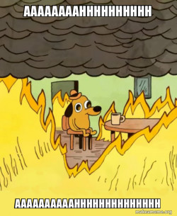 This Is Fine