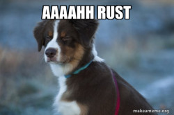 Unsure Dog