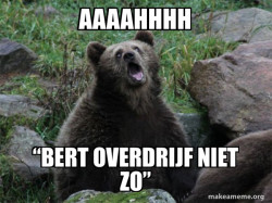 Sarcastic Bear