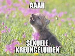 Baby Insanity Wolf
