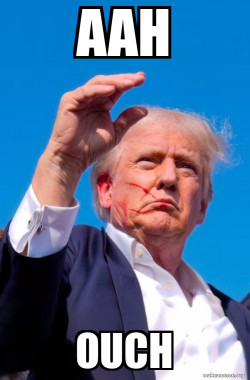 Trump Shot