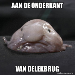 Blobfish