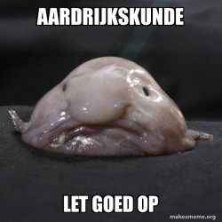 Blobfish