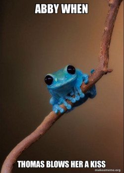 Small Fact Frog