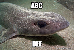 Dirty Joke Dogfish