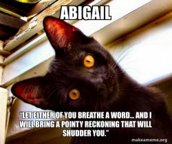 Overly Attached Cat