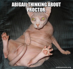 Hairless Cat