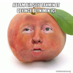 Impeached Donald Trump