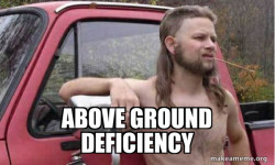 Almost Politically Correct Redneck