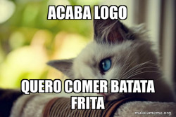 First World Cat Problems