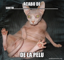 cacacalvooooooooooooooooooooooooooooooooooo