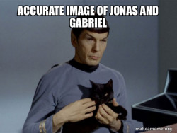 Spock and Cat Meme