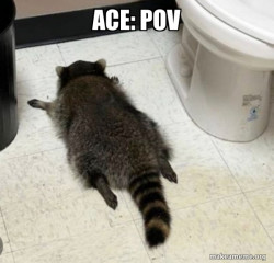 Drunk Raccoon