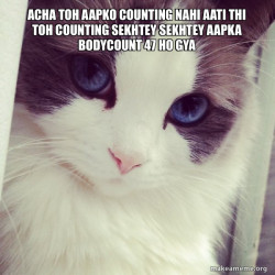 Ridiculously Photogenic Cat