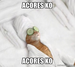 Pampered Cat Meme