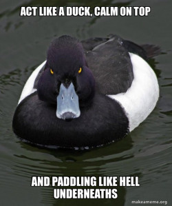Revenge Duck ( Angry Advice Duck )