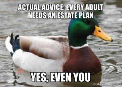 Actual Advice Mallard