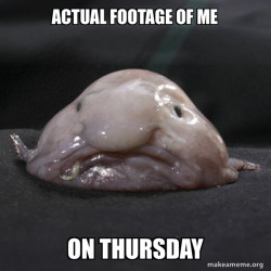 Blobfish