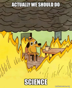 This Is Fine