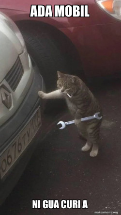Mechanic Cat