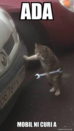 Mechanic Cat