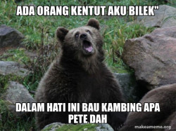 Sarcastic Bear
