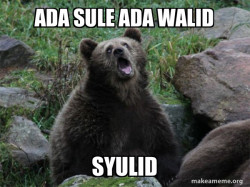Sarcastic Bear