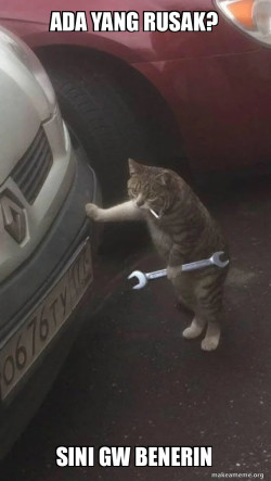 Mechanic Cat