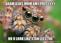 Hipster Spider