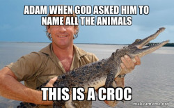 Steve irwin