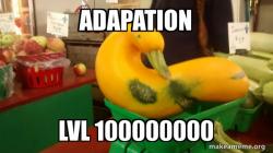 Gourd Advice Mallard