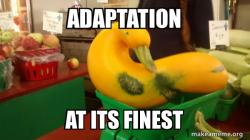 Gourd Advice Mallard