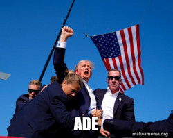 Trump Fist