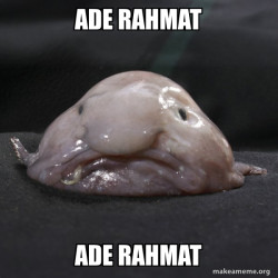 Blobfish