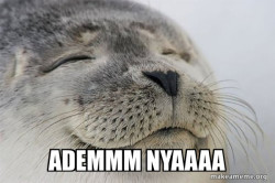 Satisfied Seal