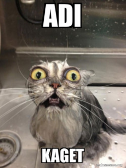 Cat bath