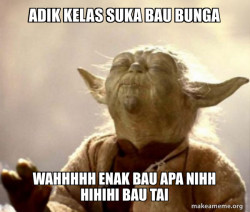 Yoda Smell
