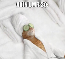 Pampered Cat Meme