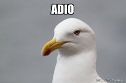 Stuff That Didn't Happen Seagull