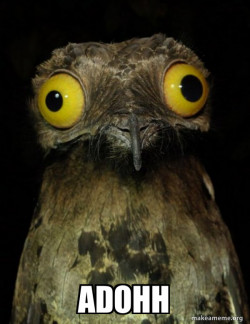 Weird Stuff I do Potoo