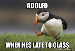 Unpopular Opinion Puffin