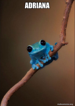 Small Fact Frog