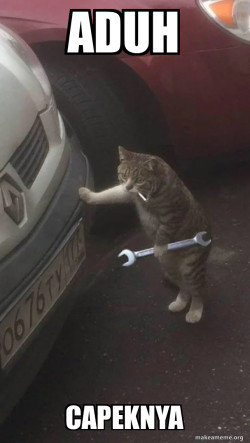Mechanic Cat