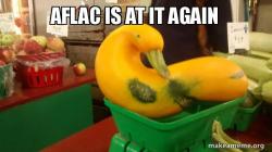 Gourd Advice Mallard