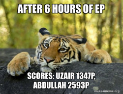 Confession Tiger