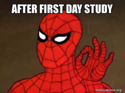 Spiderman - Care factor Zero