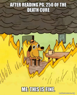 This Is Fine